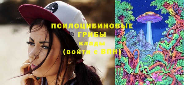 стафф Абинск